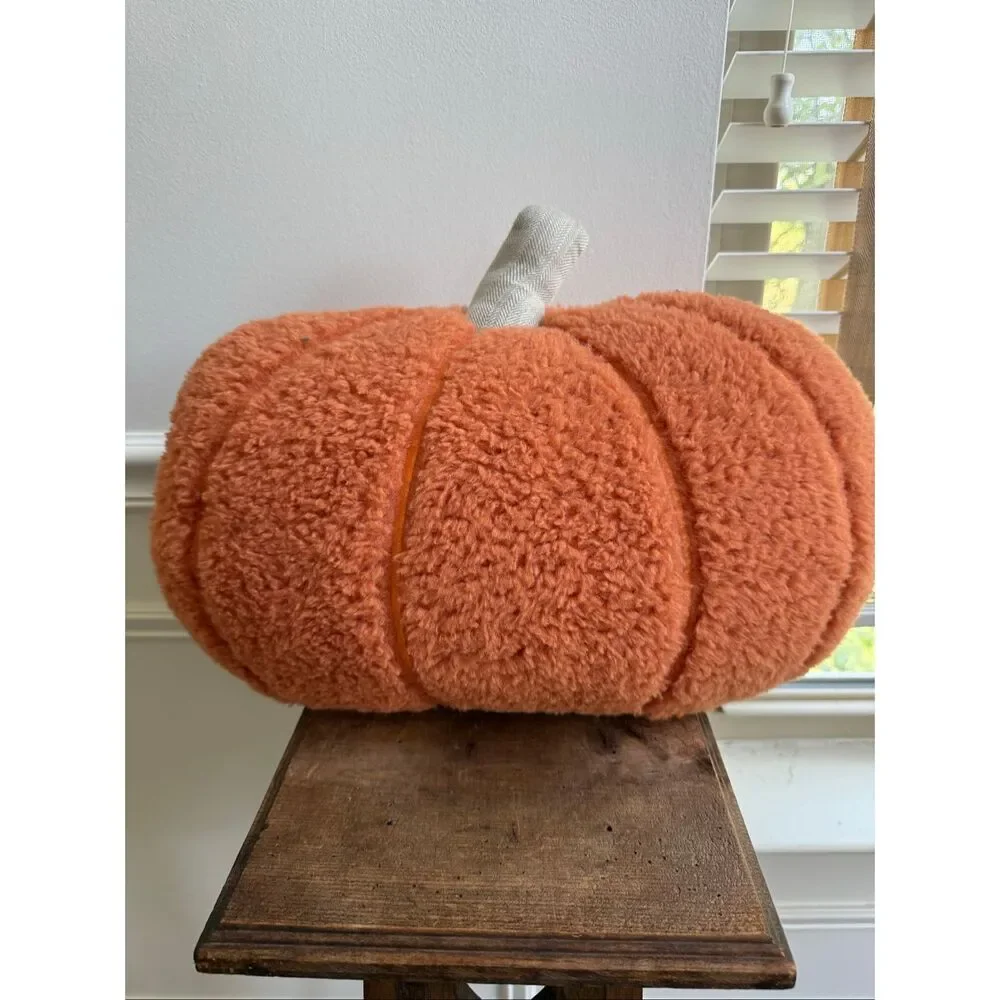 NWOT The Farmhouse Rachel Ashwell Fall Autumn Pumpkin Throw Pillow Decorative